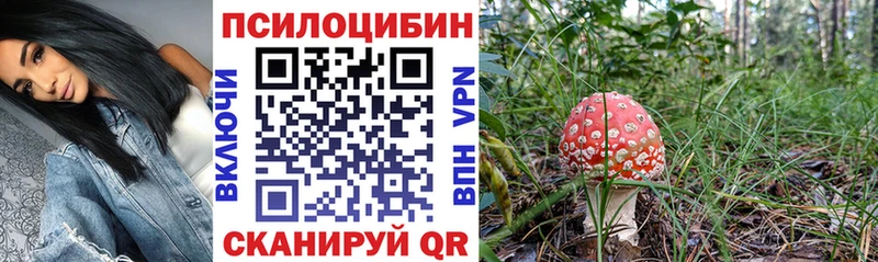 Псилоцибиновые грибы Magic Shrooms  Жуковский 